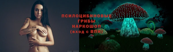 mdpv Бугульма